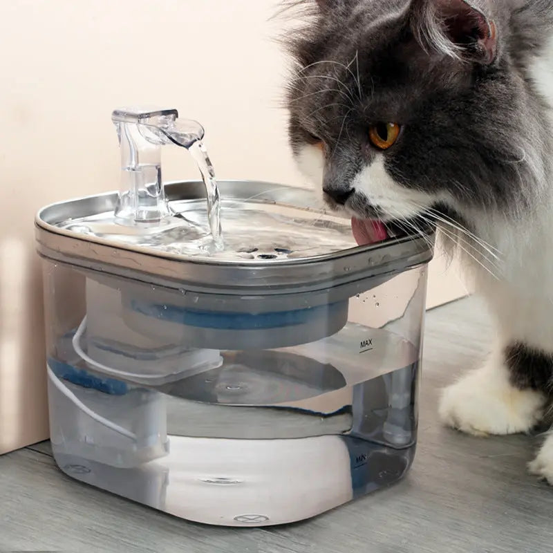 Automatic Pet Water Fountain, Intelligent Pet Accessory Nestora
