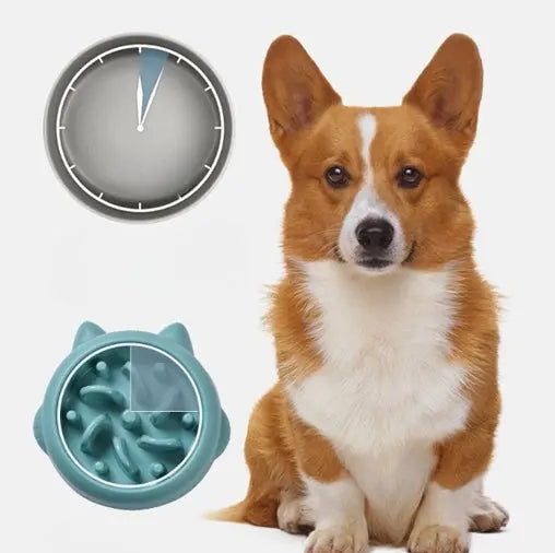 Pet Dog Cat Slow Feeder Bowl, Anti-Choking Slow Feeder Dish, Home Dog Eating Plate, Anti-Gulping Bowl Supplies Nestora