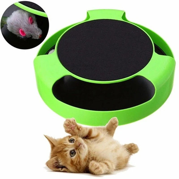 Nestora Cat Catch Interactive Toy – Feather Wand Play Toy for Indoor Cats